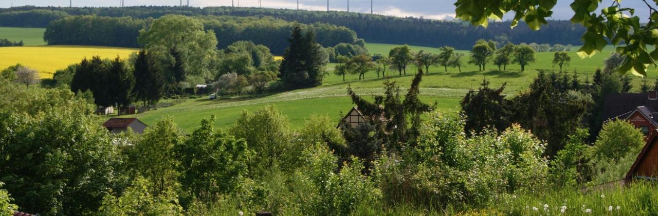 Landhotel Berggaststaette Bickenriede Anrode Dış mekan fotoğraf